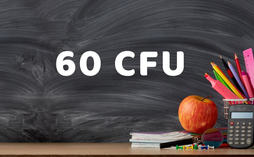 60 CFU Insegnamento